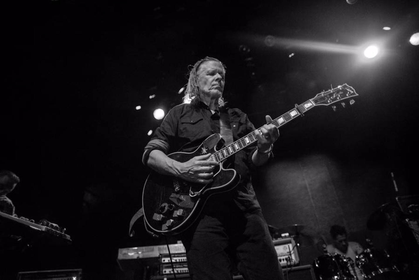swans_08