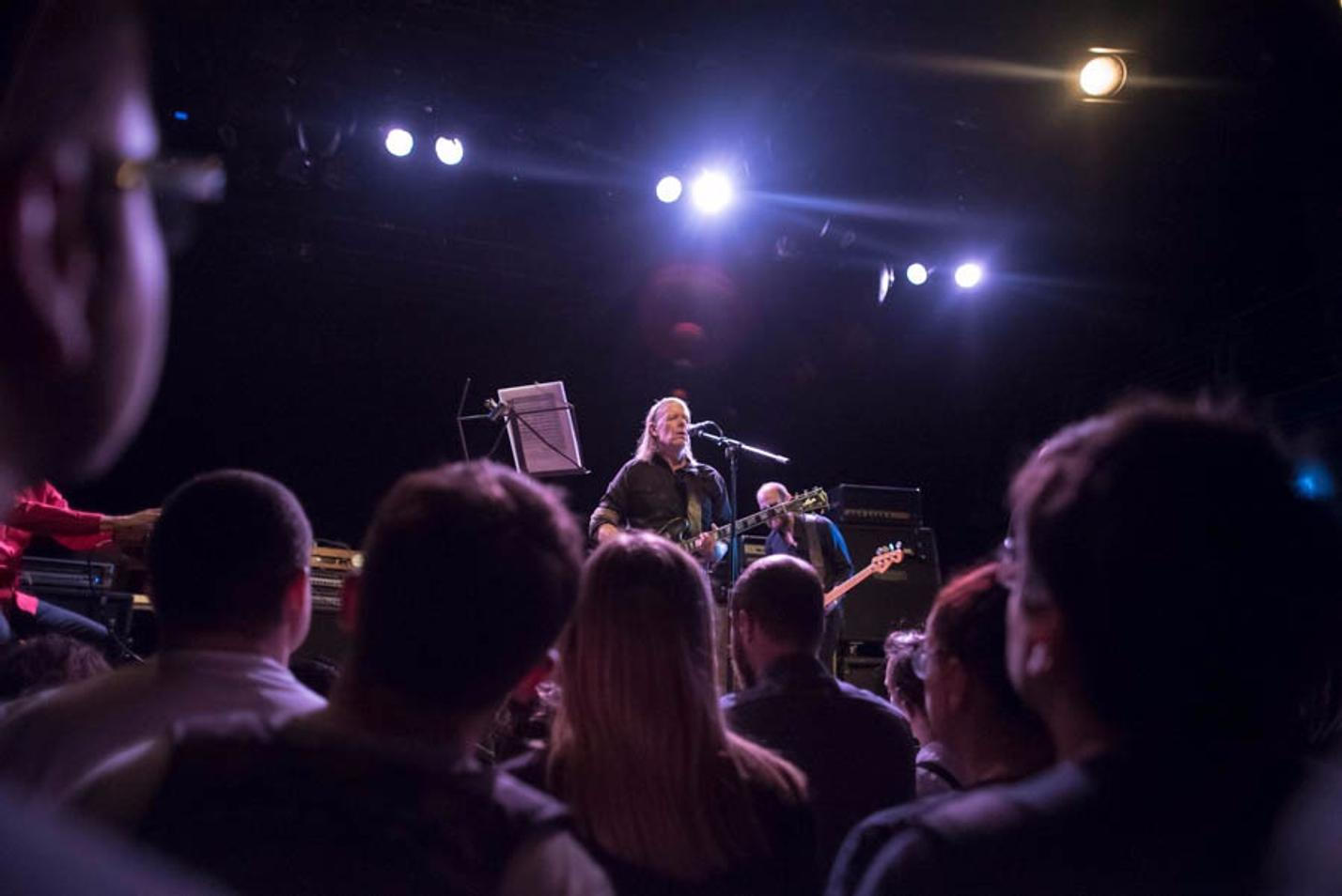 swans_09