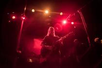 swans_06