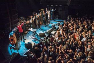 swans_11
