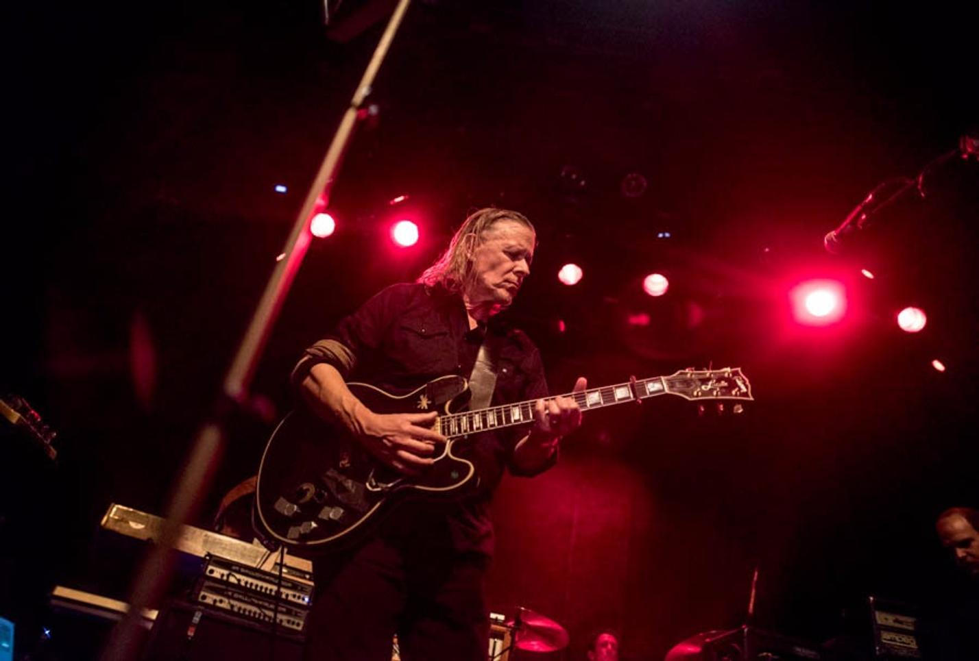 swans_13
