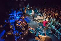 swans_-10