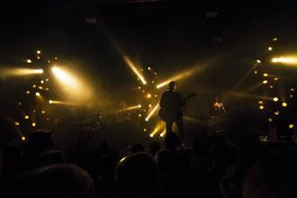 Fink (17) (1)