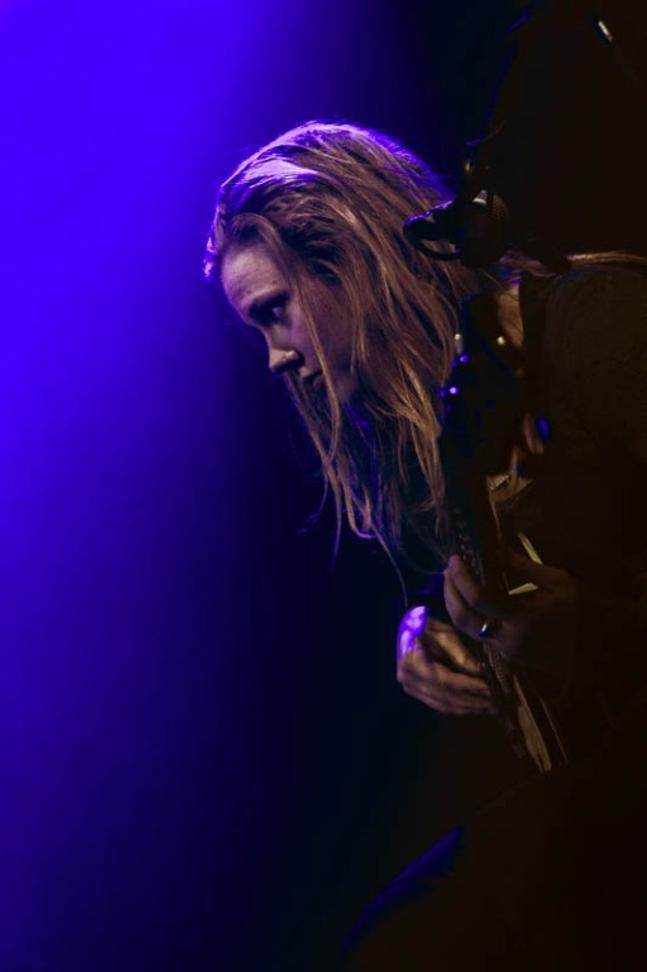 Fink (1) (1)