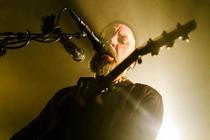 Fink (5) (1)