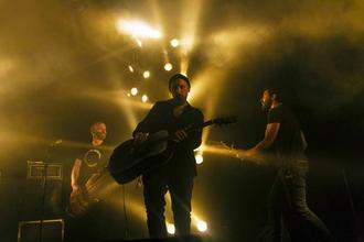 Fink (9) (1)