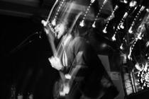 BlackFoxxes4