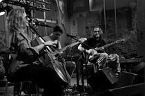 Dorota Barová Trio