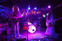 darwin deez-3-e