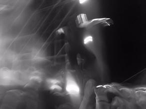 Foals-6