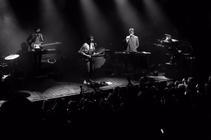 Glass Animals_6