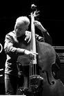 The Bad Plus