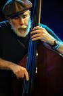 13BluesAlive2016_DukeRobillard2