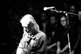 06_swans