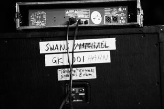 05_swans