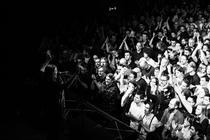 10_swans
