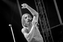 33_Iggy_Pop_Metronome_2016_Praha
