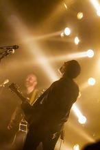 Fink (20) (1)