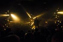 Fink (17) (1)