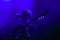 Fink (2) (1)