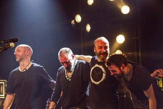 Fink (29) (1)
