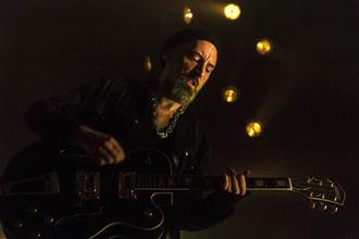 Fink (13) (1)