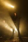 Fink (4) (1)