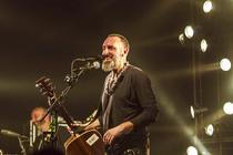 Fink (26) (1)