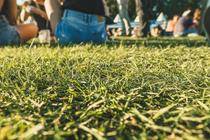 24_Lollapalooza