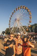 23_Lollapalooza