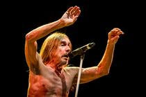 24_Iggy_Pop_Metronome_2016_Praha