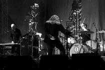 Robert Plant (15)