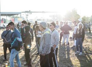 02_Melt! Festival