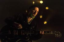 Fink (13) (1)