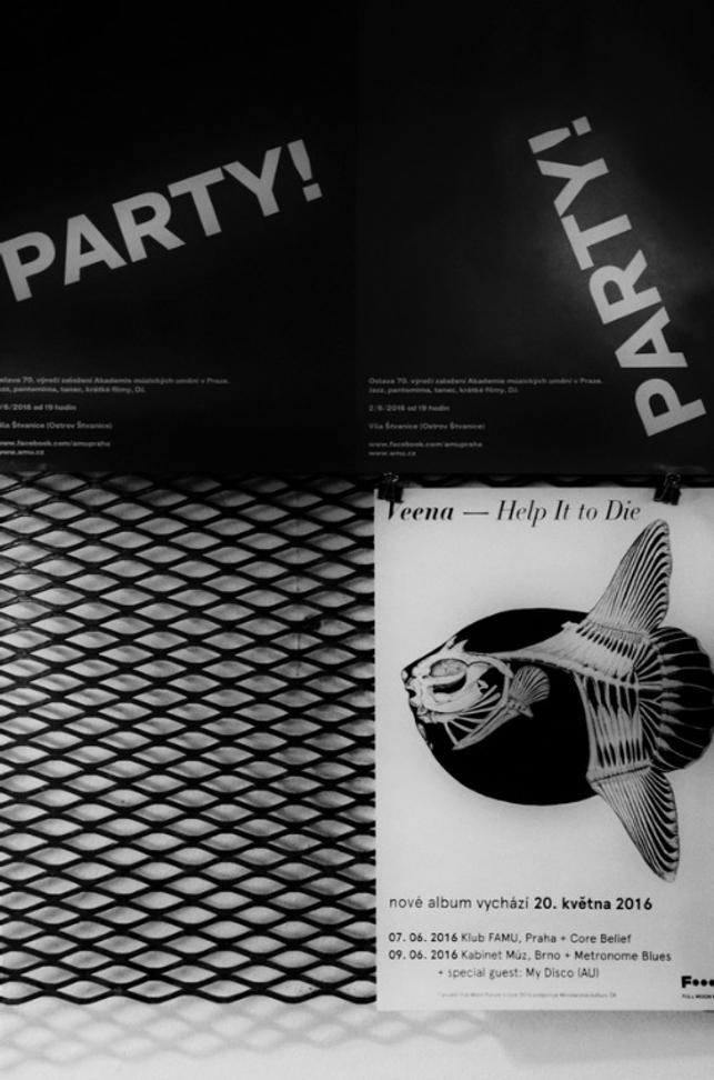 1 party party Veena