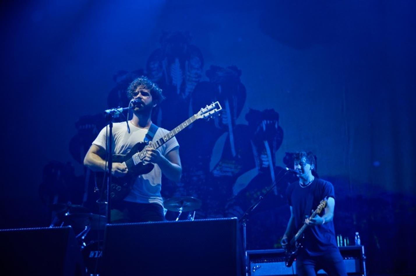 8848_foals