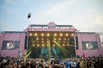 8772_foals
