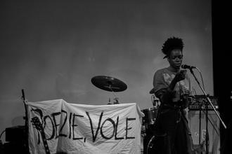 poezie-vole-28