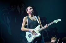 8822_foals