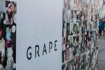 15_Grape