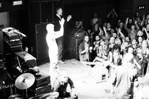 12_swans
