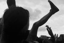 While She Sleeps