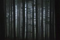 18 NP Šumava