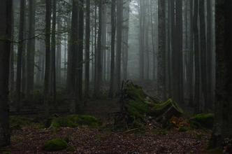 16 NP Šumava