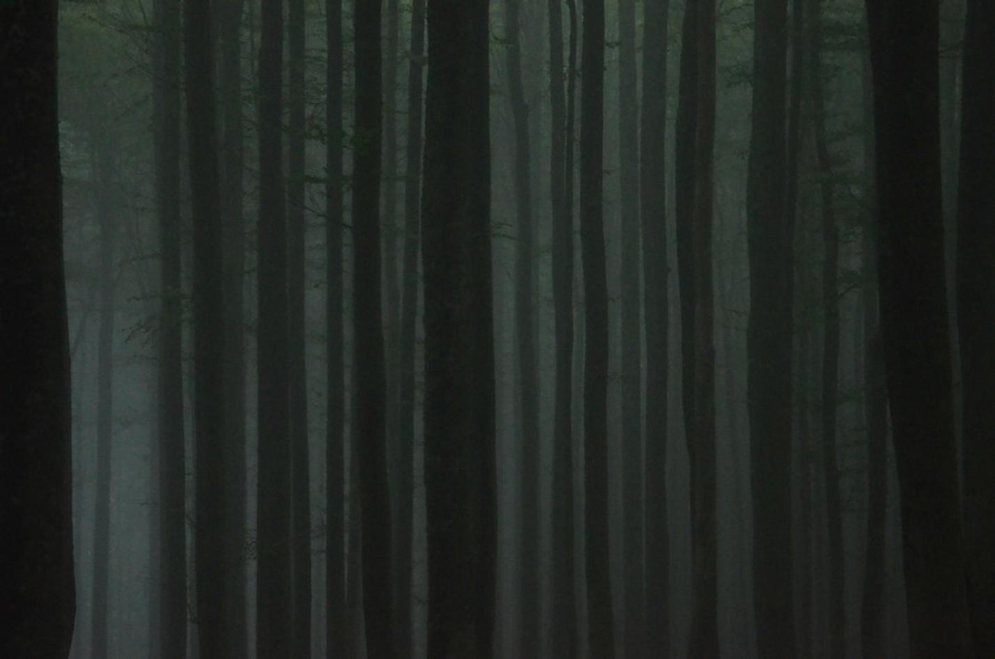 13 NP Šumava