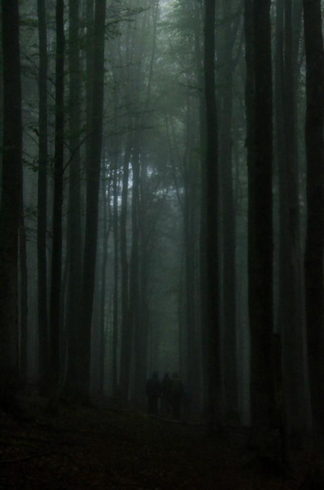 20 NP Šumava