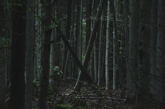 21 NP Šumava