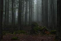 16 NP Šumava