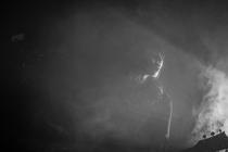 05_Boris