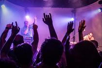 28_dandeacon